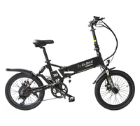 Elbike Gangstar Vip 13