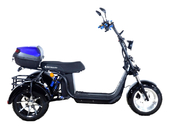 Электротрицикл SKYBOARD MyRussia TRIKE BR60-3000 PRO FAST - Фото 1