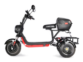 Электротрицикл WHITE SIBERIA TRIKE MINI 1500W - Фото 2