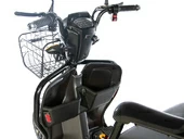 Электротрицикл E-motions TRIKE TRANSFORMER - Фото 5
