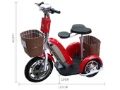 Электротрицикл Zappy Max 500w - Фото 5